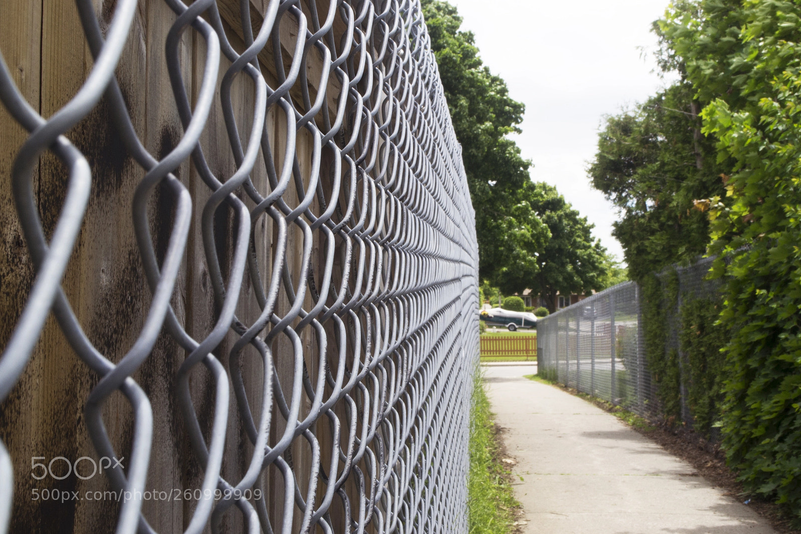 Nikon D3100 sample photo. My choice line leading photography