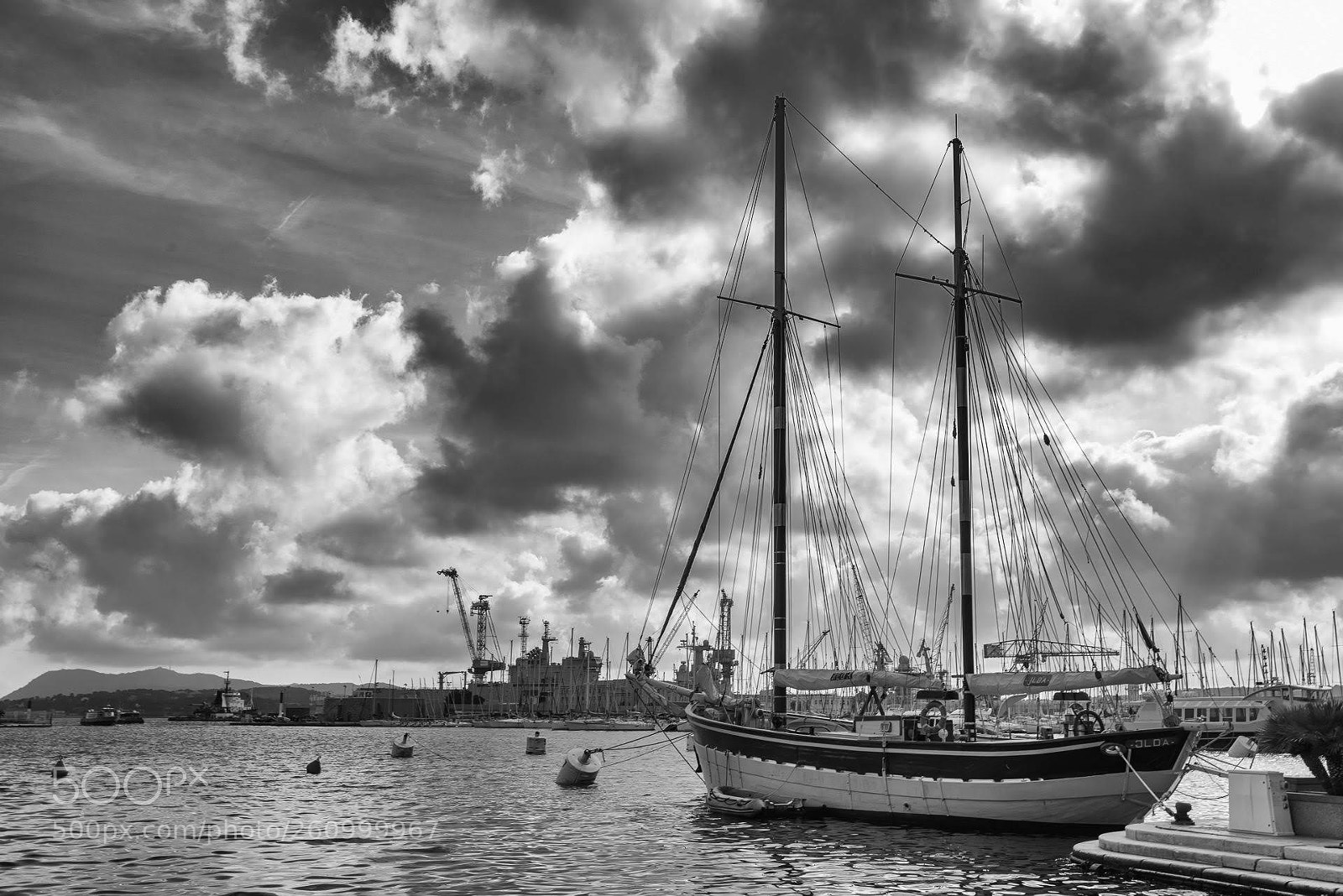 Nikon D800 sample photo. Toulon photography