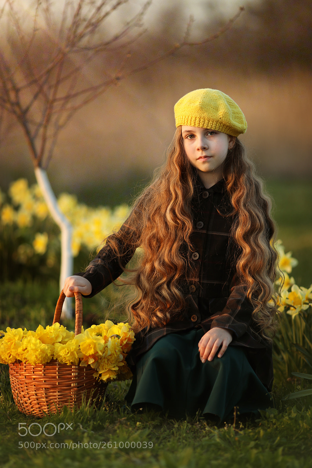 Canon EOS 5D Mark IV sample photo. Girl and yellow daffodils. photography