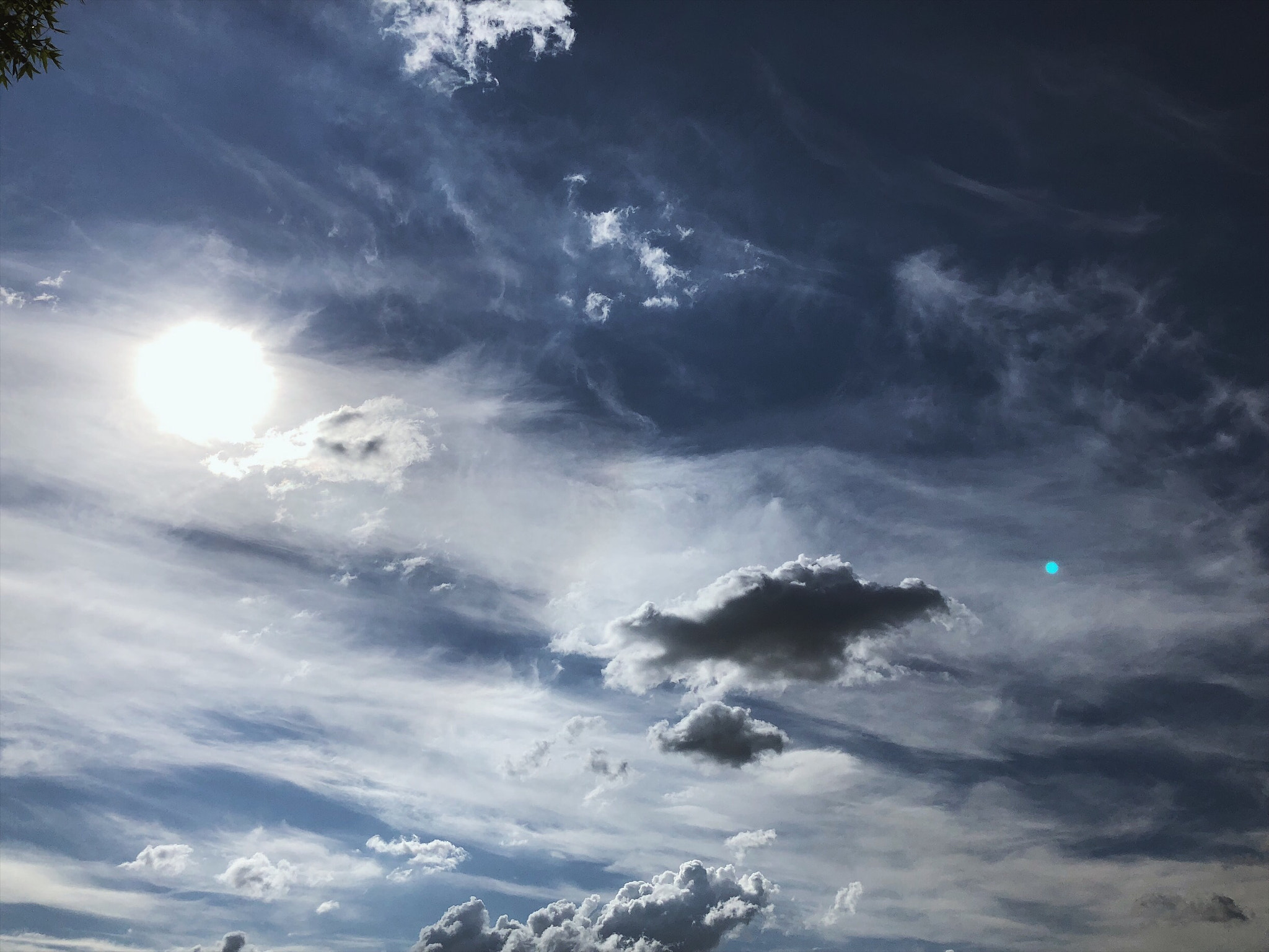 Apple iPhone 8 sample photo