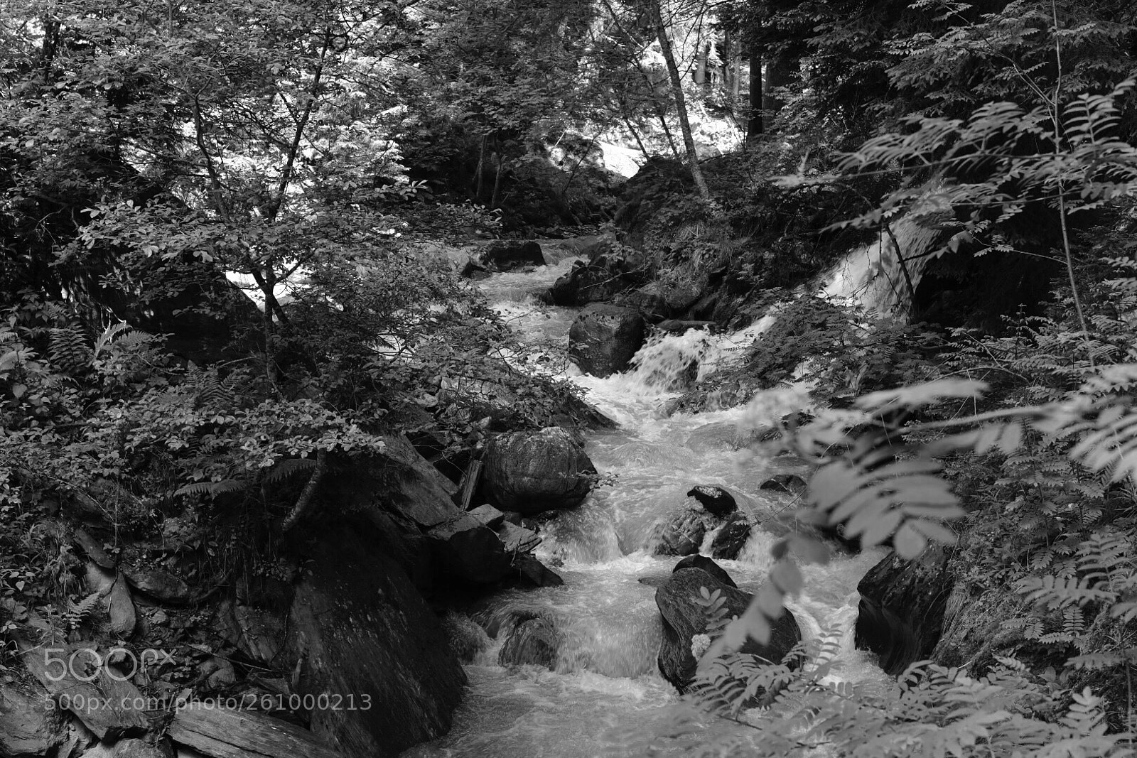 Nikon D750 sample photo. Vinschgau  photography