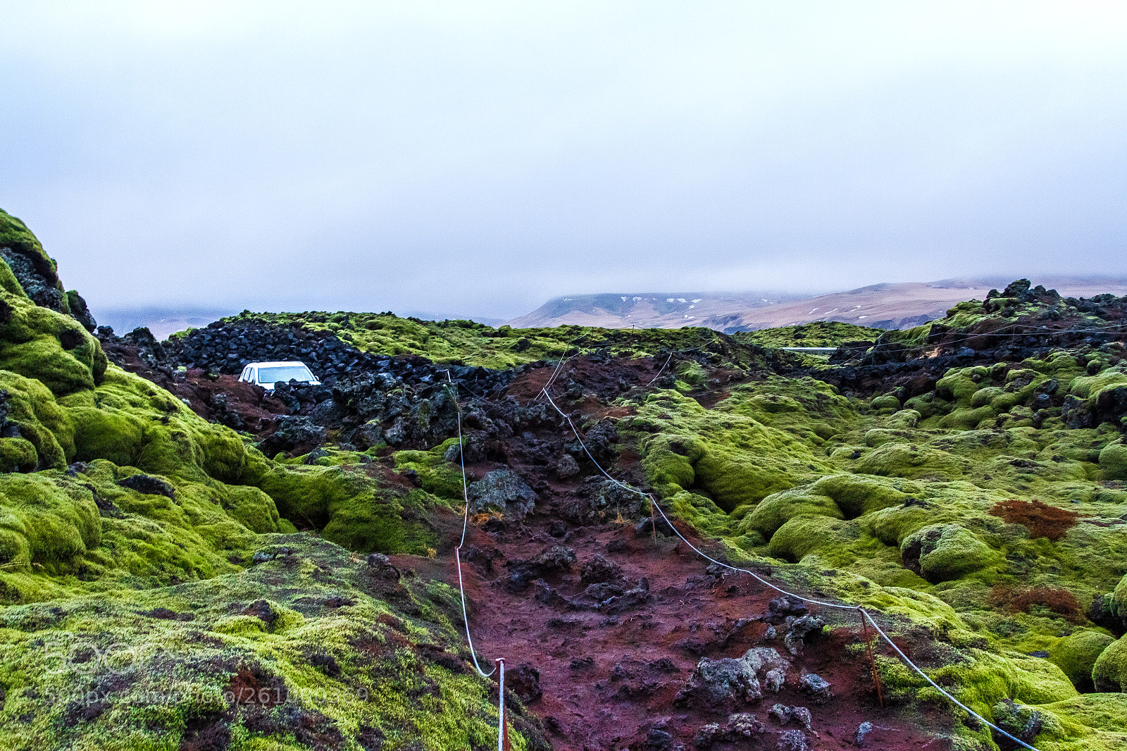 Canon EOS 7D sample photo. Green moss covering lava photography
