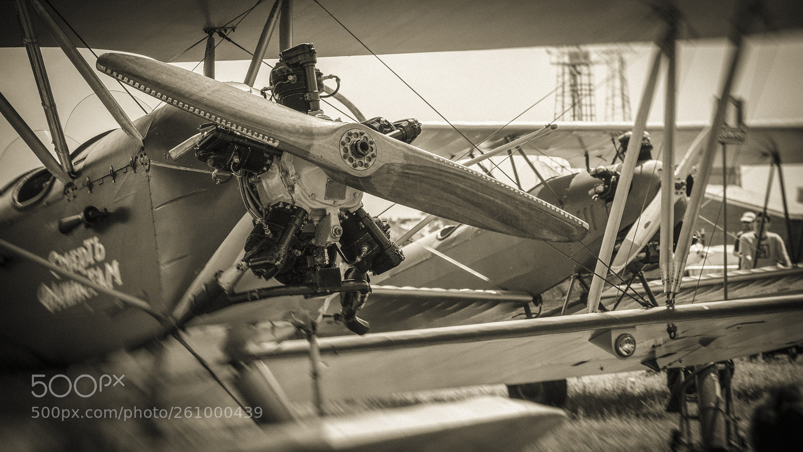 Nikon D610 sample photo. Editar photography