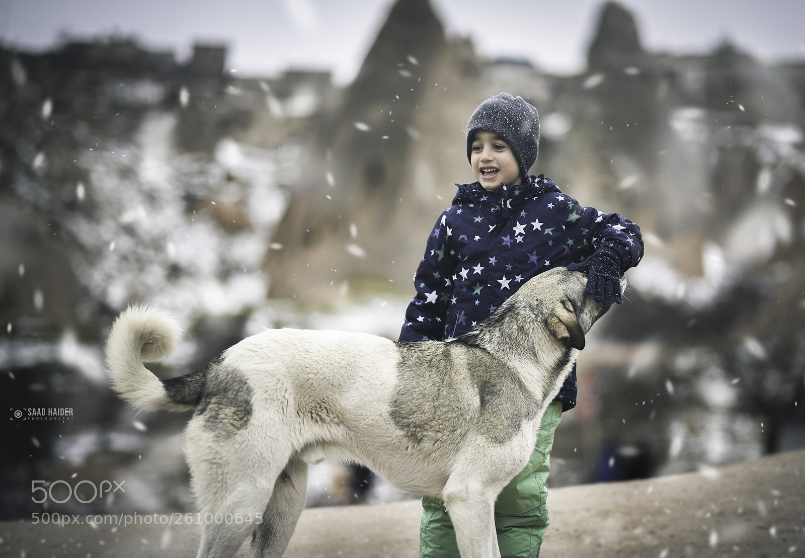 Nikon D750 sample photo. I never see unhappy photography