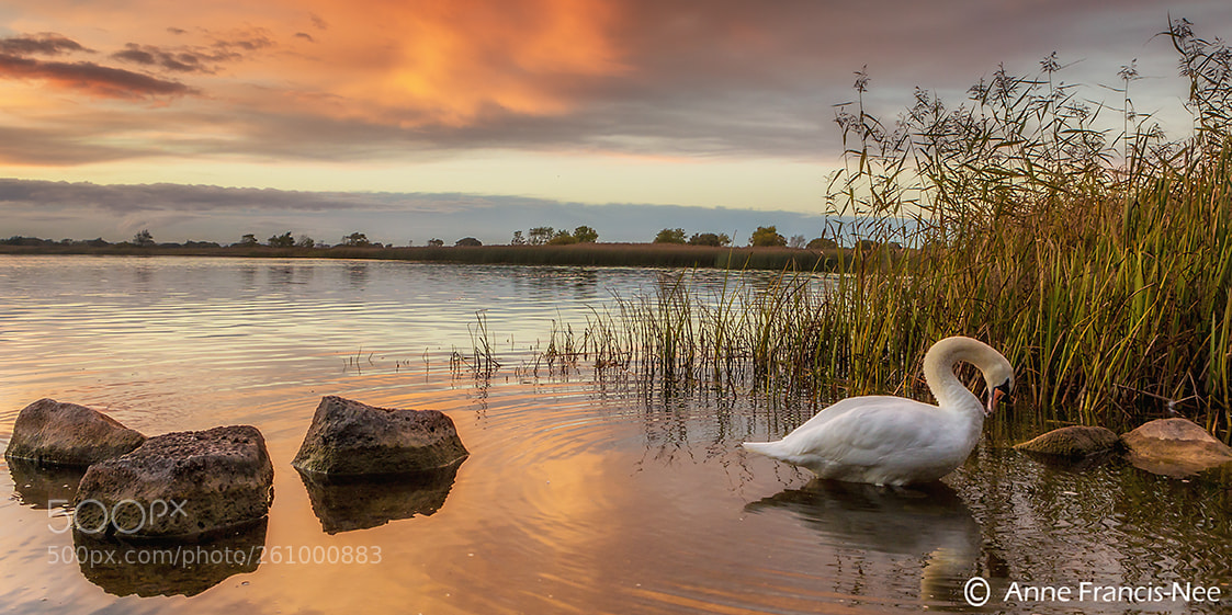 Canon EOS 6D sample photo. Lough corrib pier menlo photography