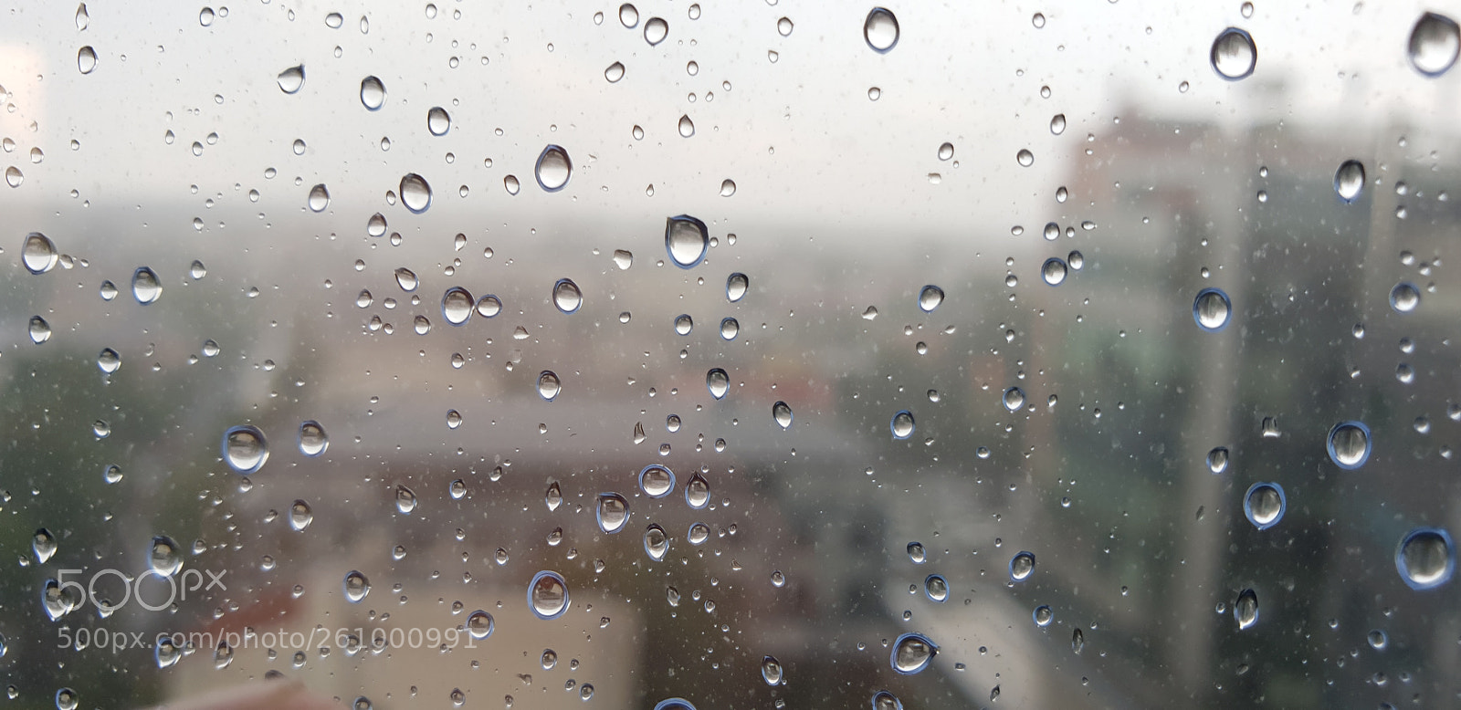 Samsung Galaxy S9+ sample photo. Rainy photography