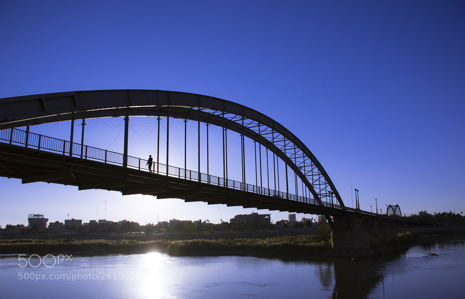 Nikon D5600 sample photo. White bridge photography