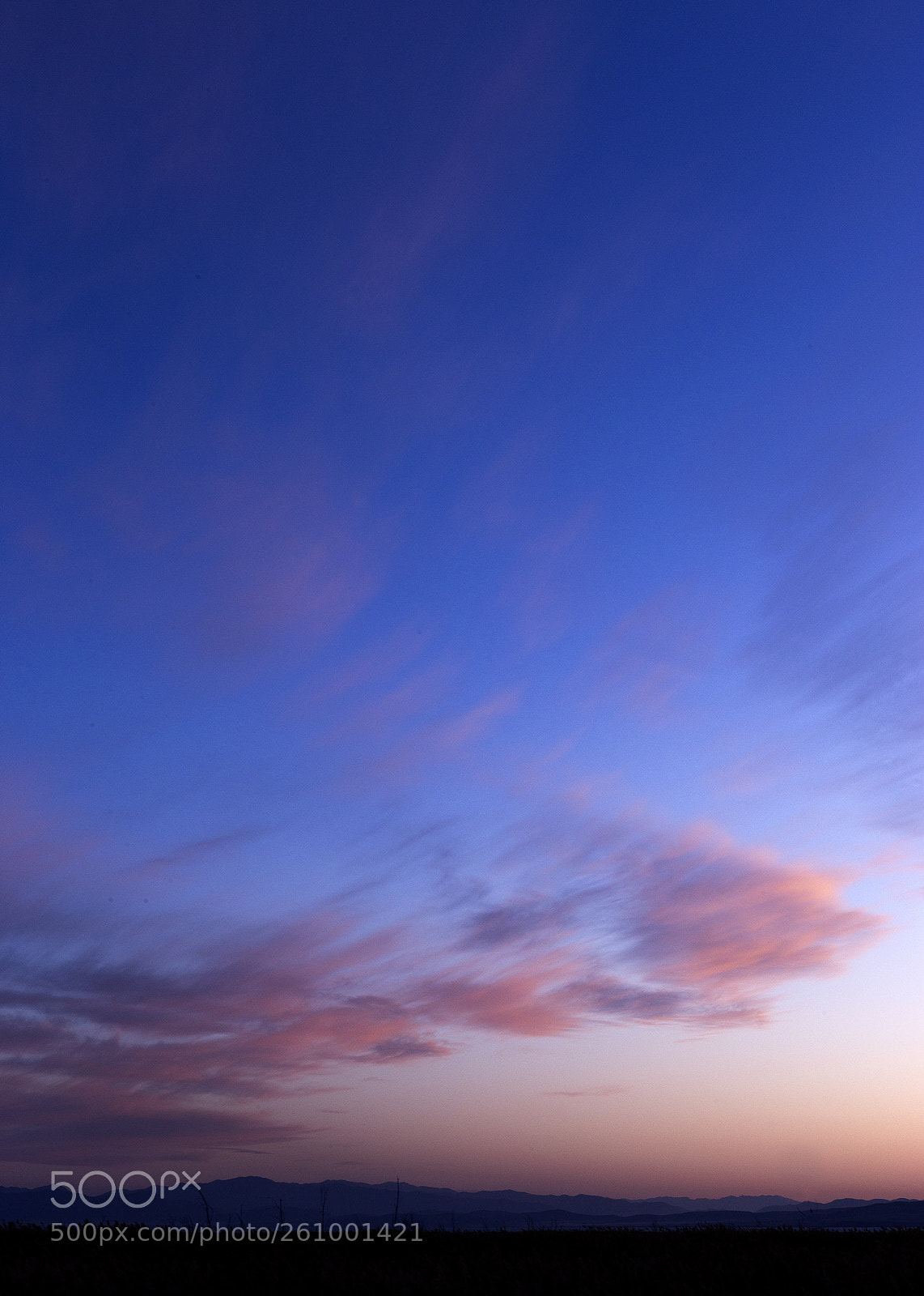 Canon EOS 6D sample photo. 4_150.jpg photography