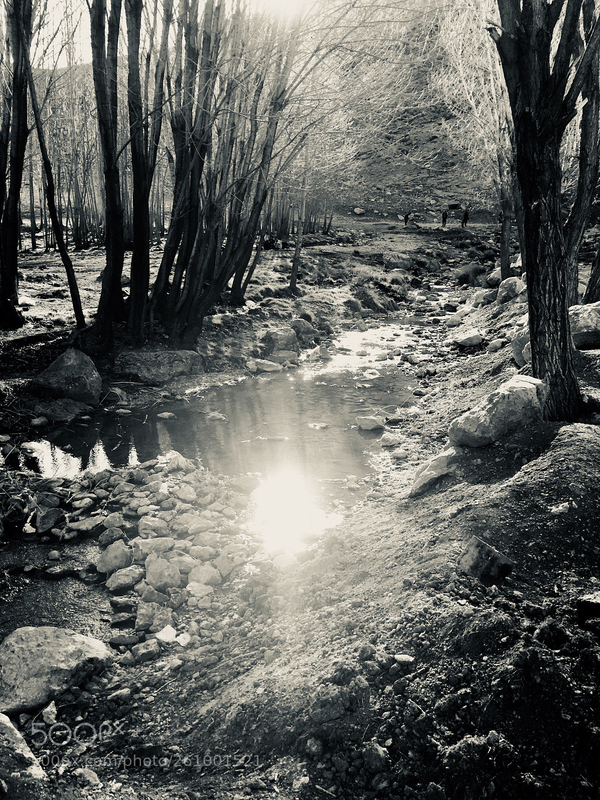 Apple iPhone SE sample photo. Untitled photography