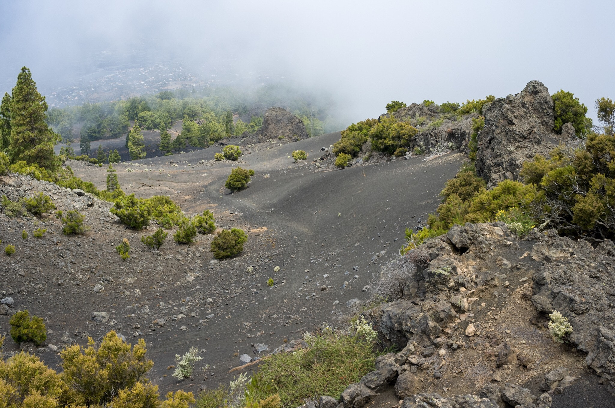 Ricoh GXR A12 sample photo. La palma landscape  photography