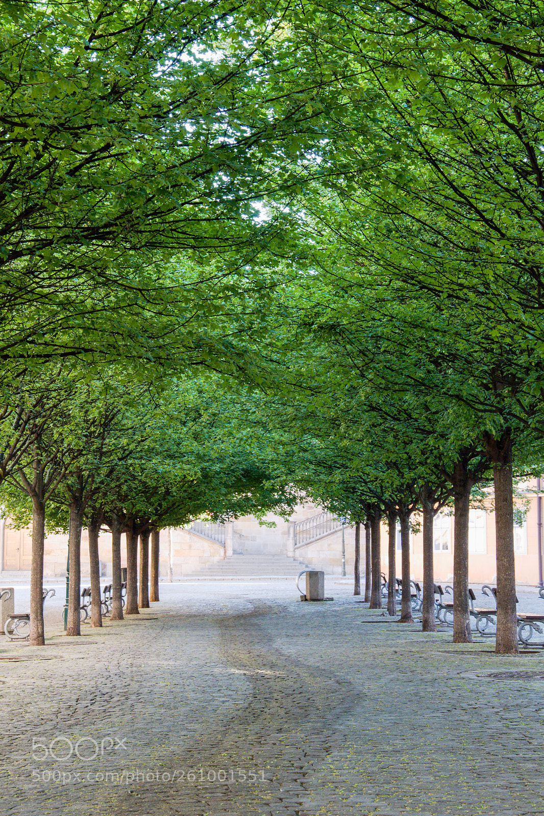Nikon D3300 sample photo. Kampa alley photography