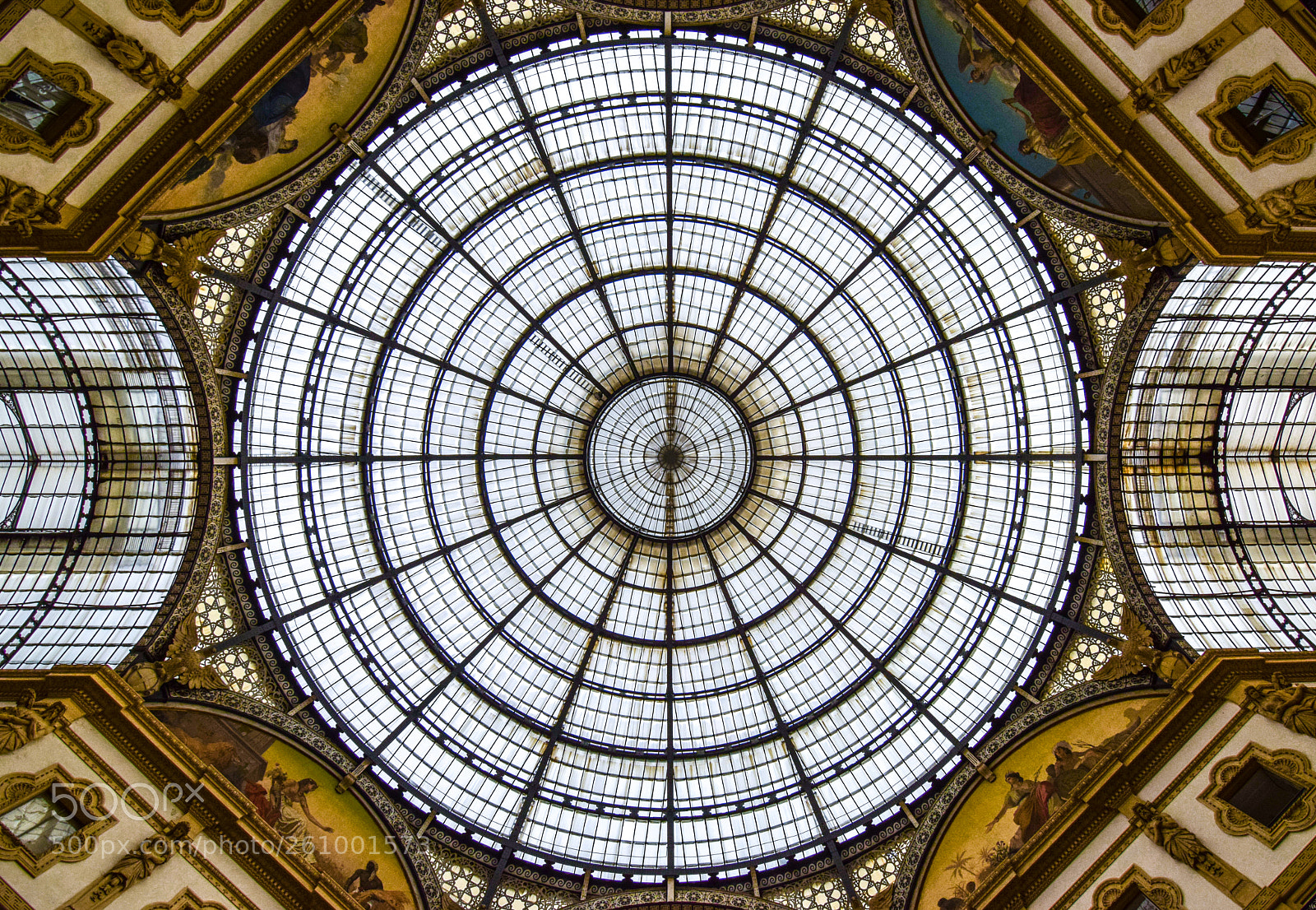 Nikon D5300 sample photo. -look up photography