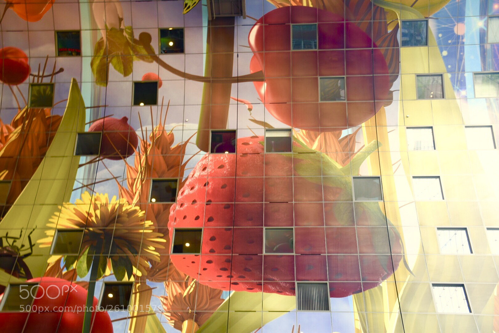 Nikon D5300 sample photo. Markthal rotterdam photography
