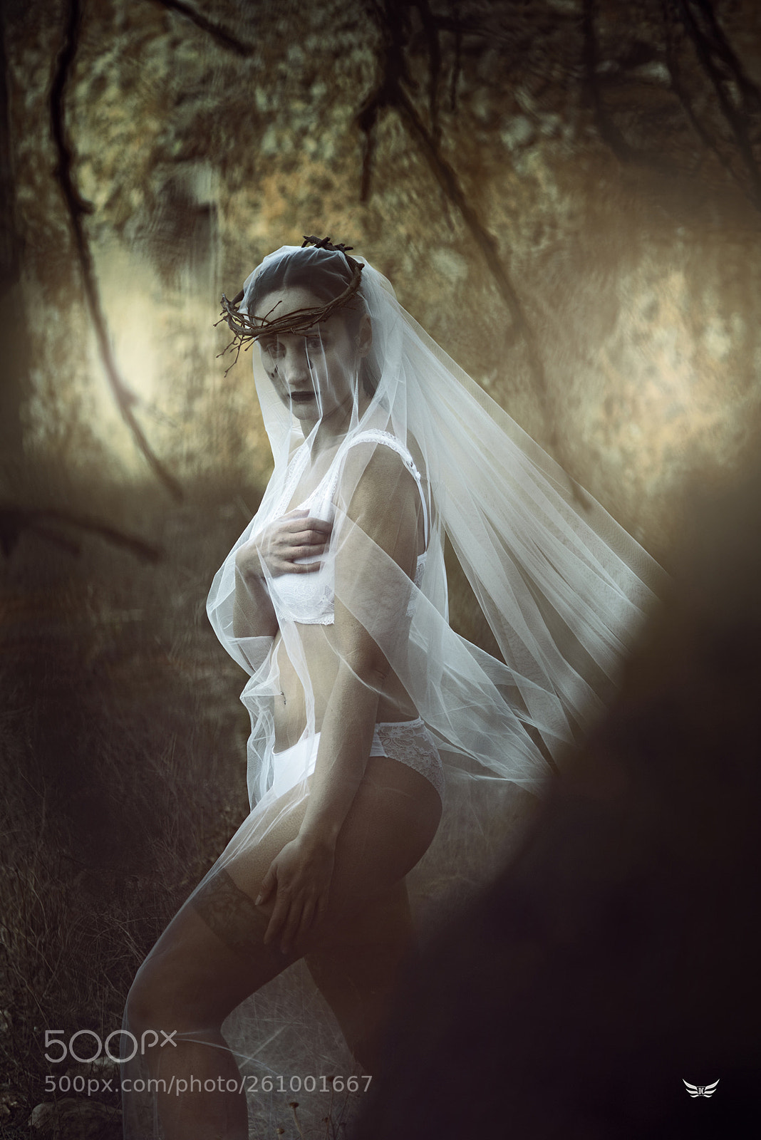Nikon D750 sample photo. Alma errante photography