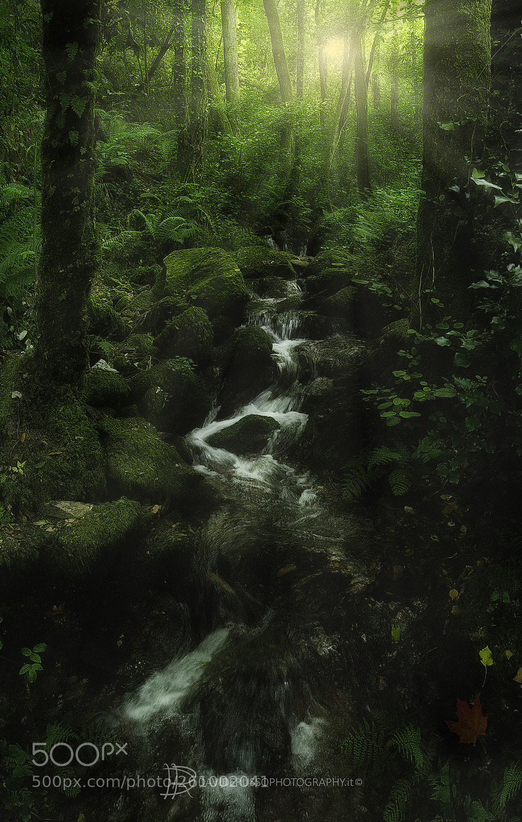 Nikon D750 sample photo. Primitive photography