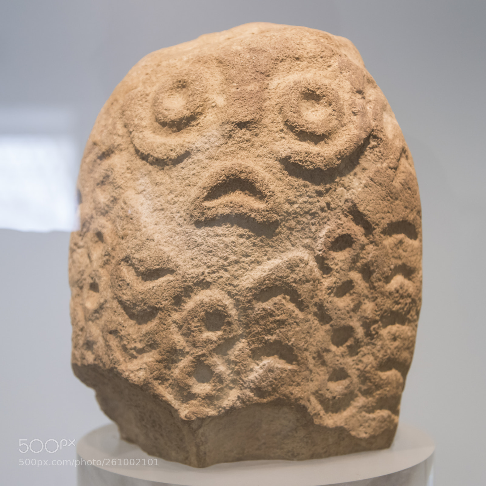 Nikon D810 sample photo. Stone in a museum photography