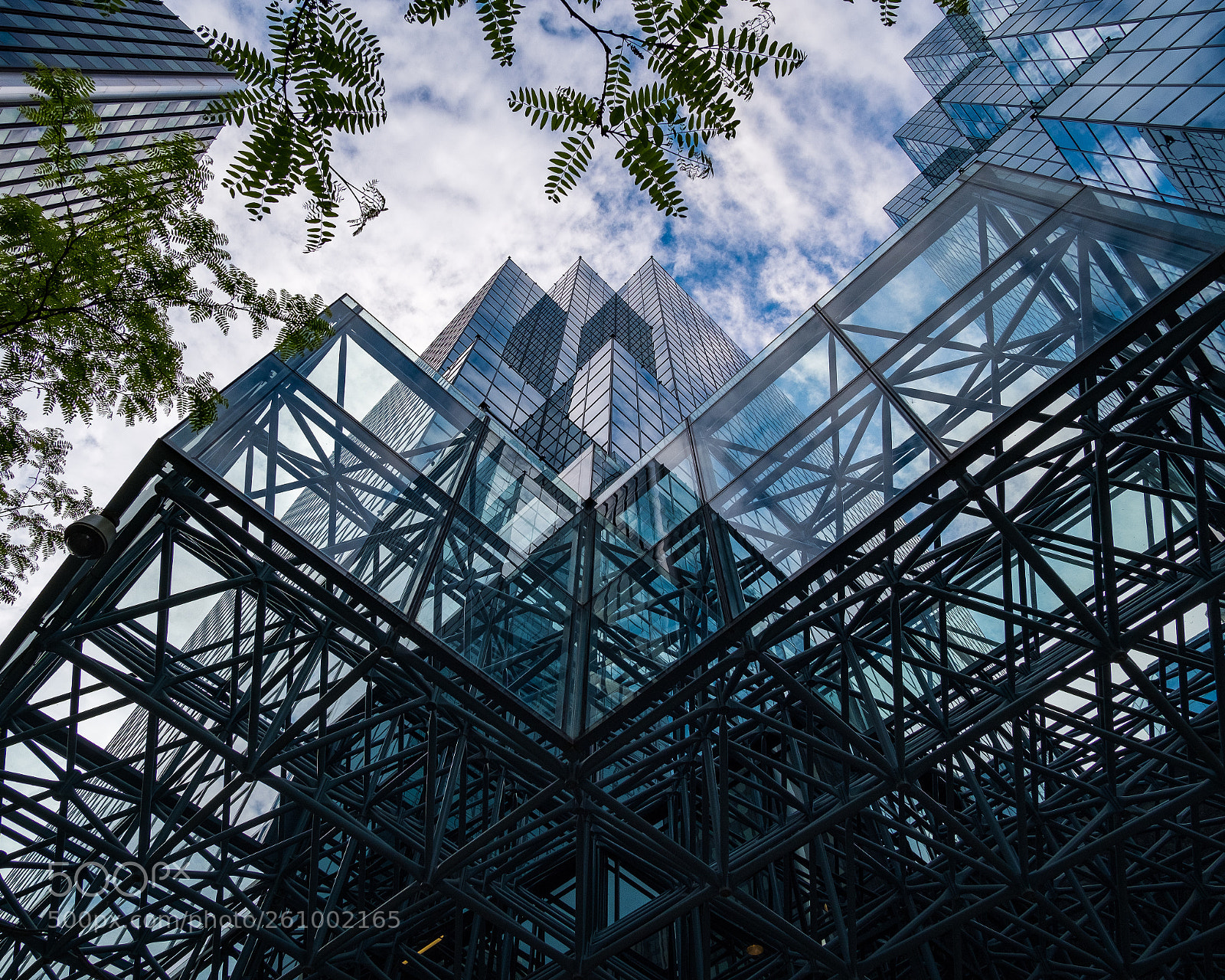 Fujifilm X-T2 sample photo. Looking up photography