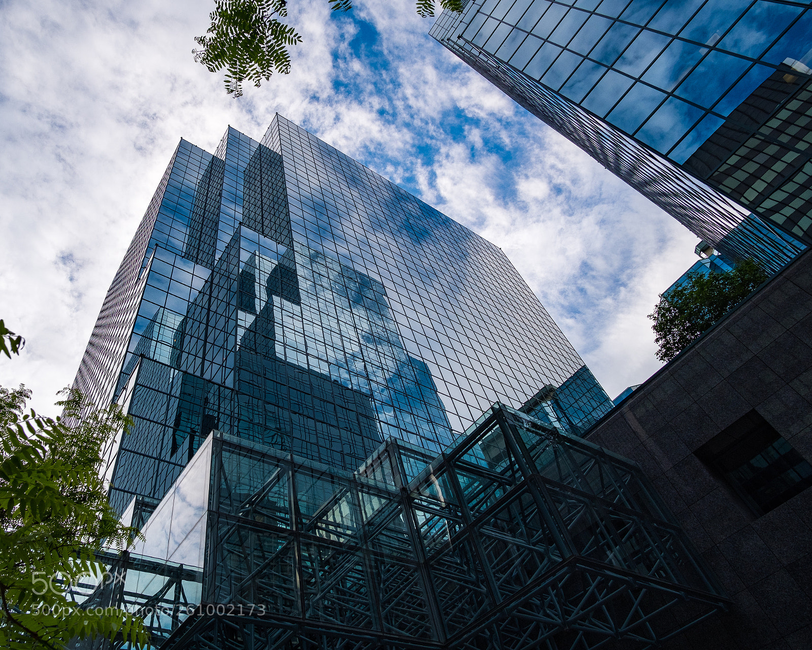 Fujifilm X-T2 sample photo. Looking up photography