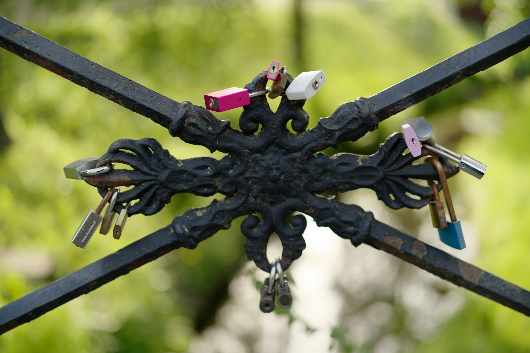 Sony a7R III + Sony Planar T* FE 50mm F1.4 ZA sample photo. Locks of love. photography