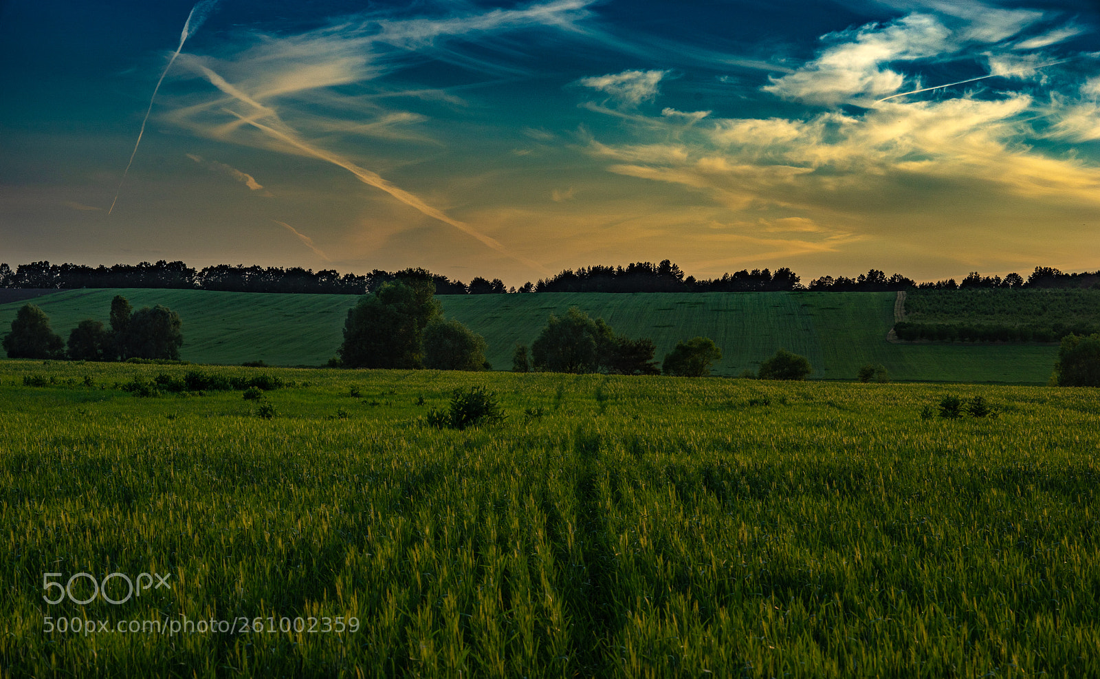 Sony a7 II sample photo. Colorful evening photography