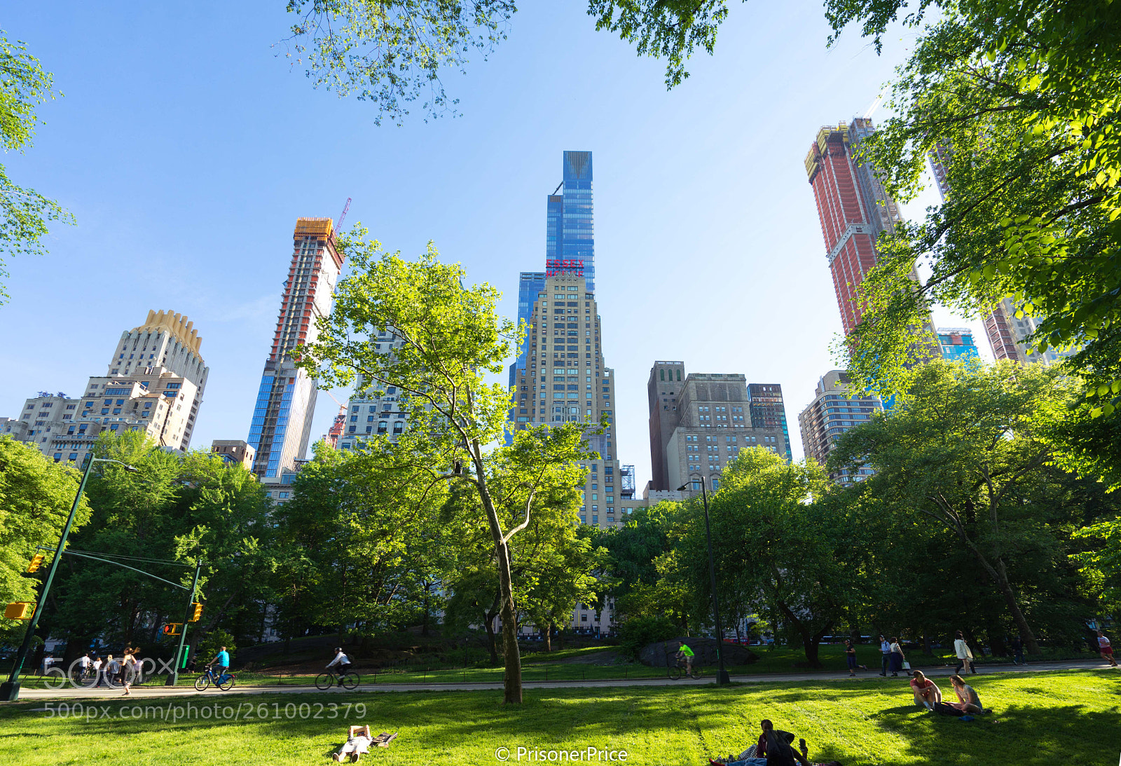 Sony a7 II sample photo. Central park ii photography