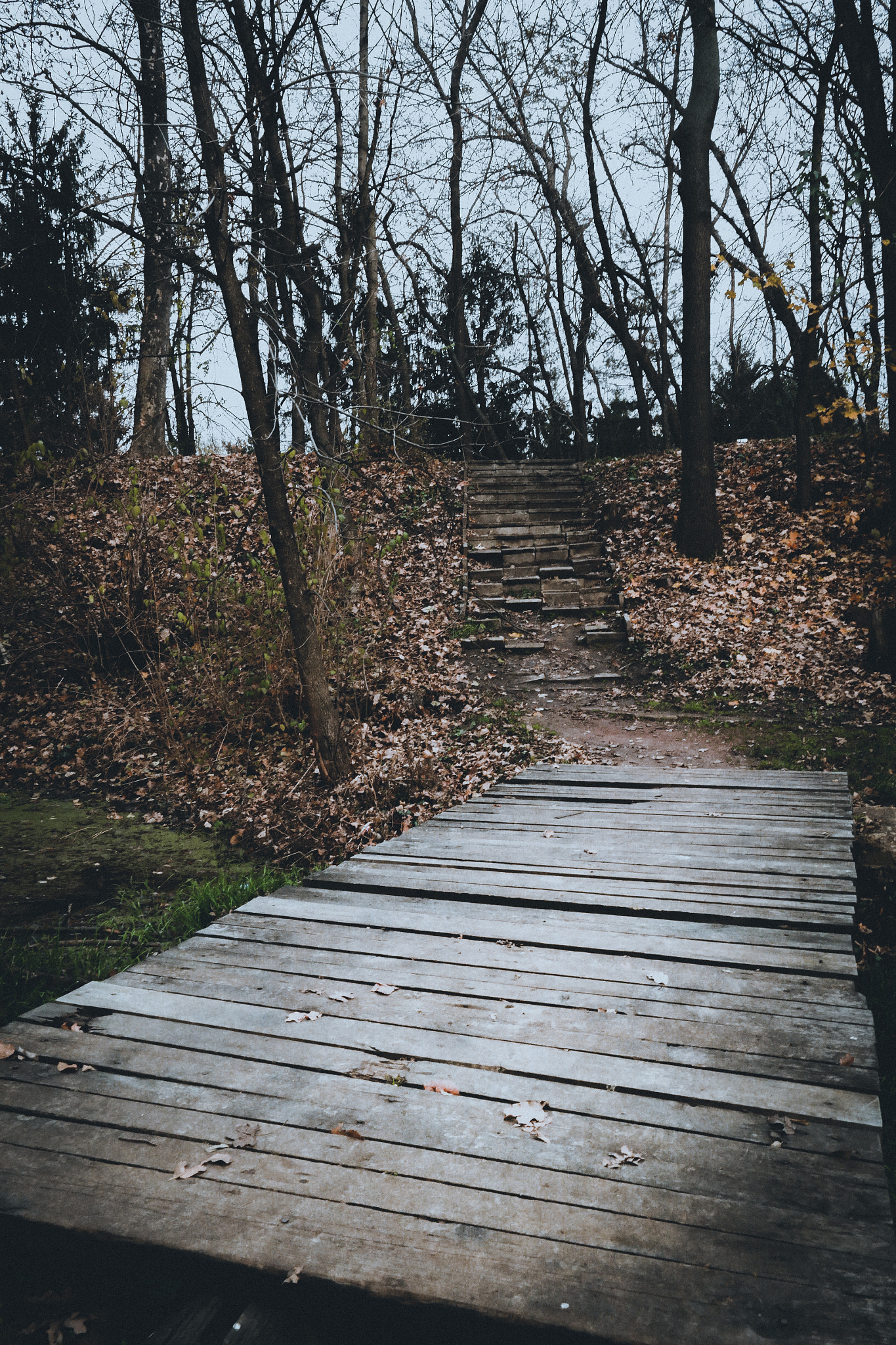 Samsung NX30 sample photo. Stairway photography