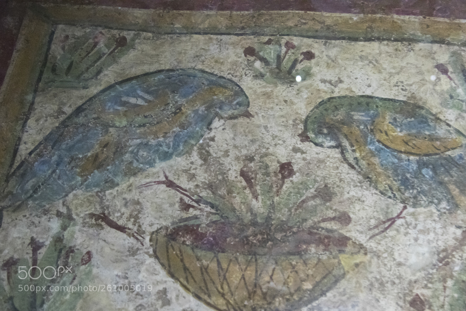 Nikon D810 sample photo. Painting of birds on photography