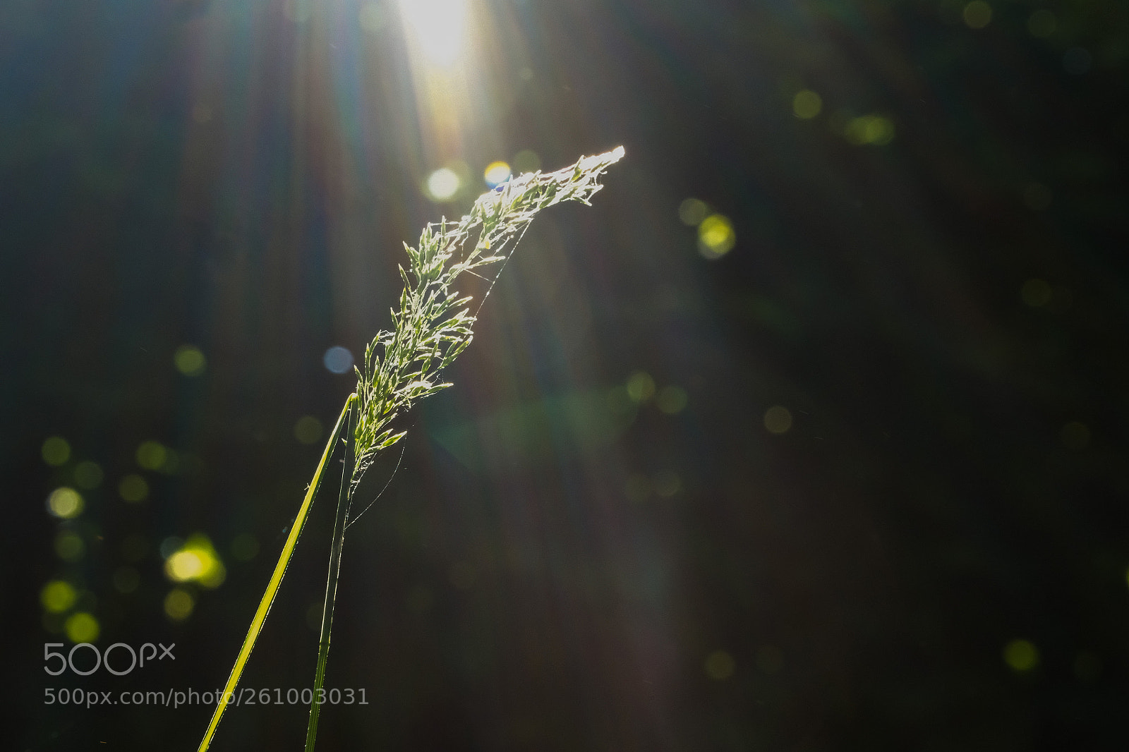 Fujifilm X-T2 sample photo. Rainbow photography