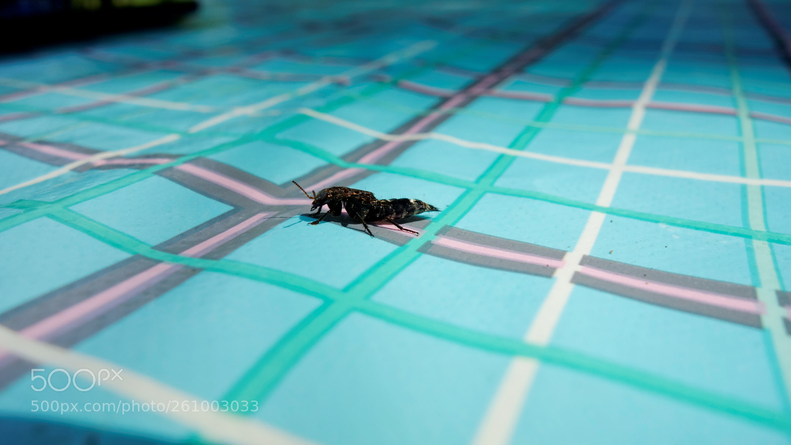 Sony Cyber-shot DSC-RX100 sample photo. Mig 29 bug photography