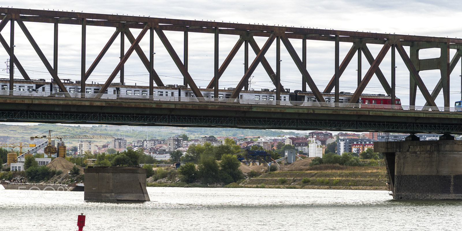 Nikon D810 sample photo. Train moving on bridge photography