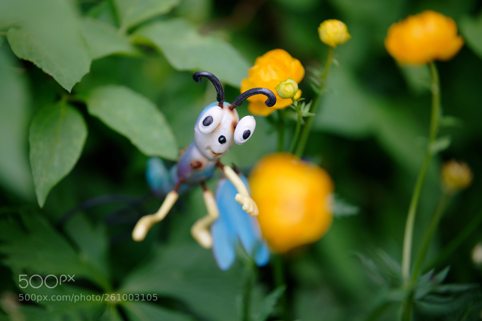 Sony a7R III sample photo. To the rescue! photography