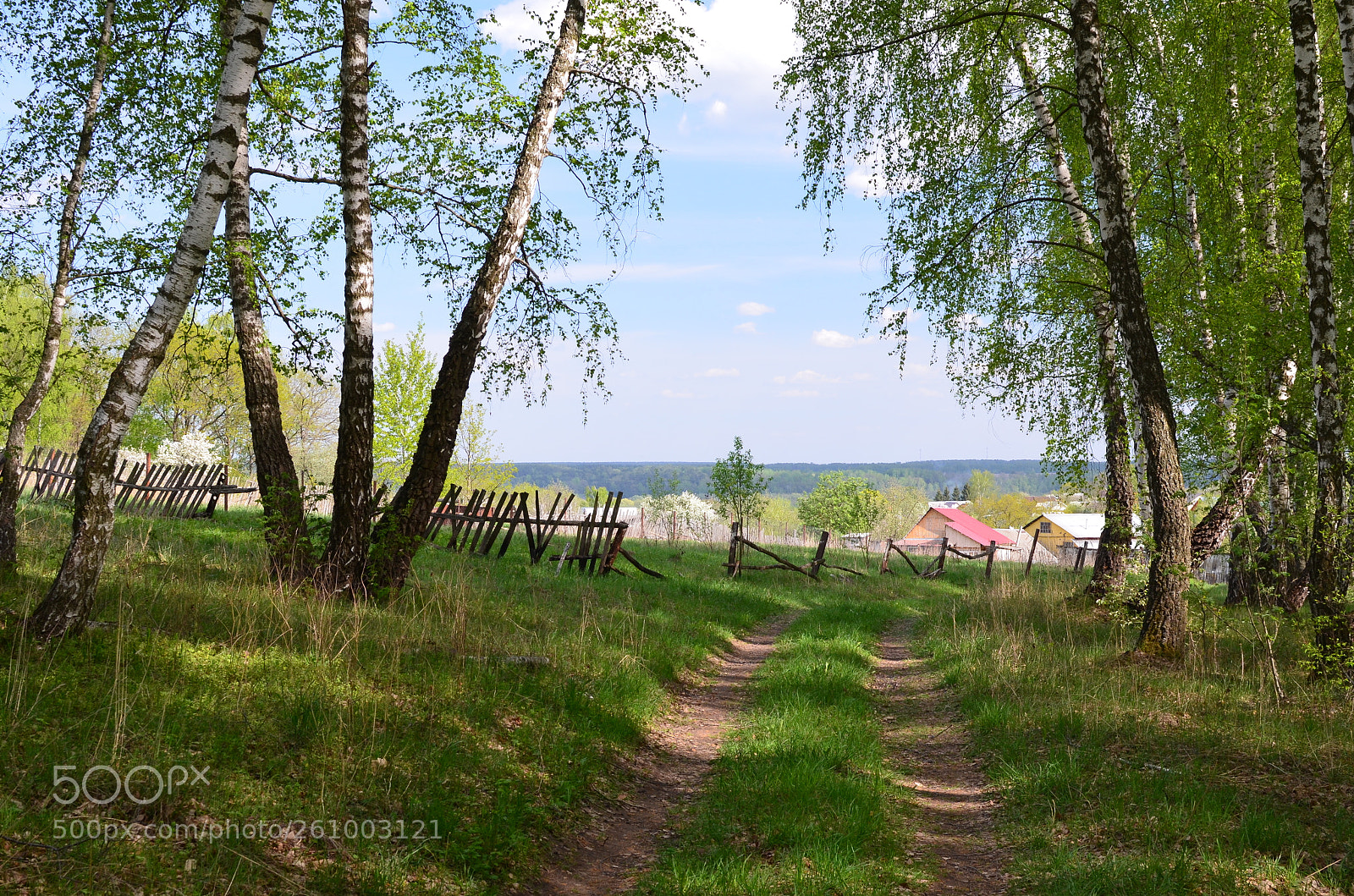 Nikon D5100 + Nikon AF-S DX Nikkor 35mm F1.8G sample photo. Russian landscape, village near photography