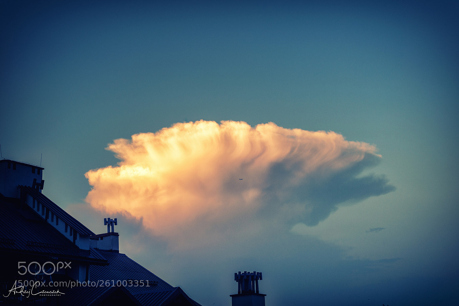 Nikon D5 sample photo. Big mushroom and plane photography