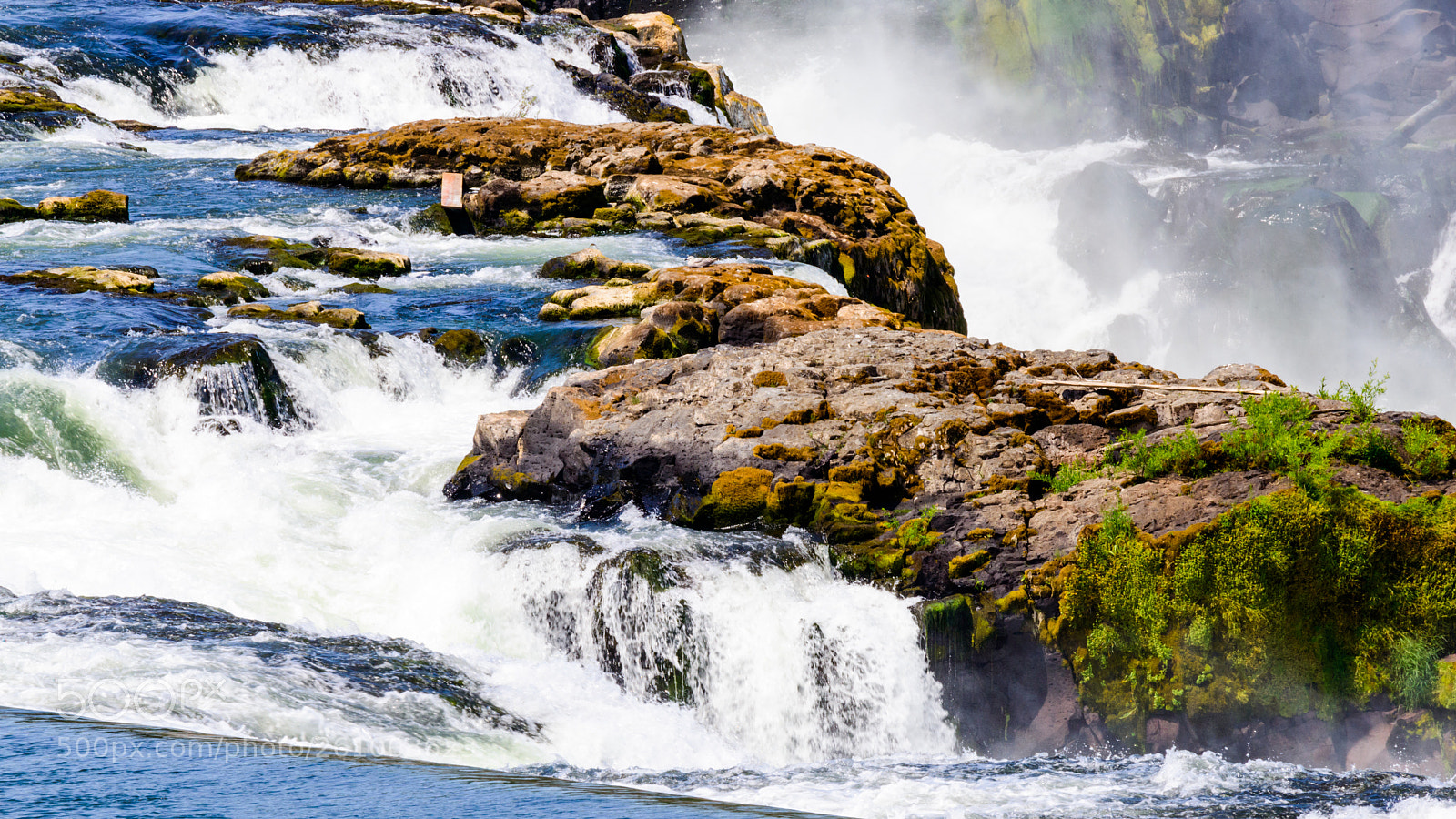 Nikon D800 sample photo. Willamette falls photography