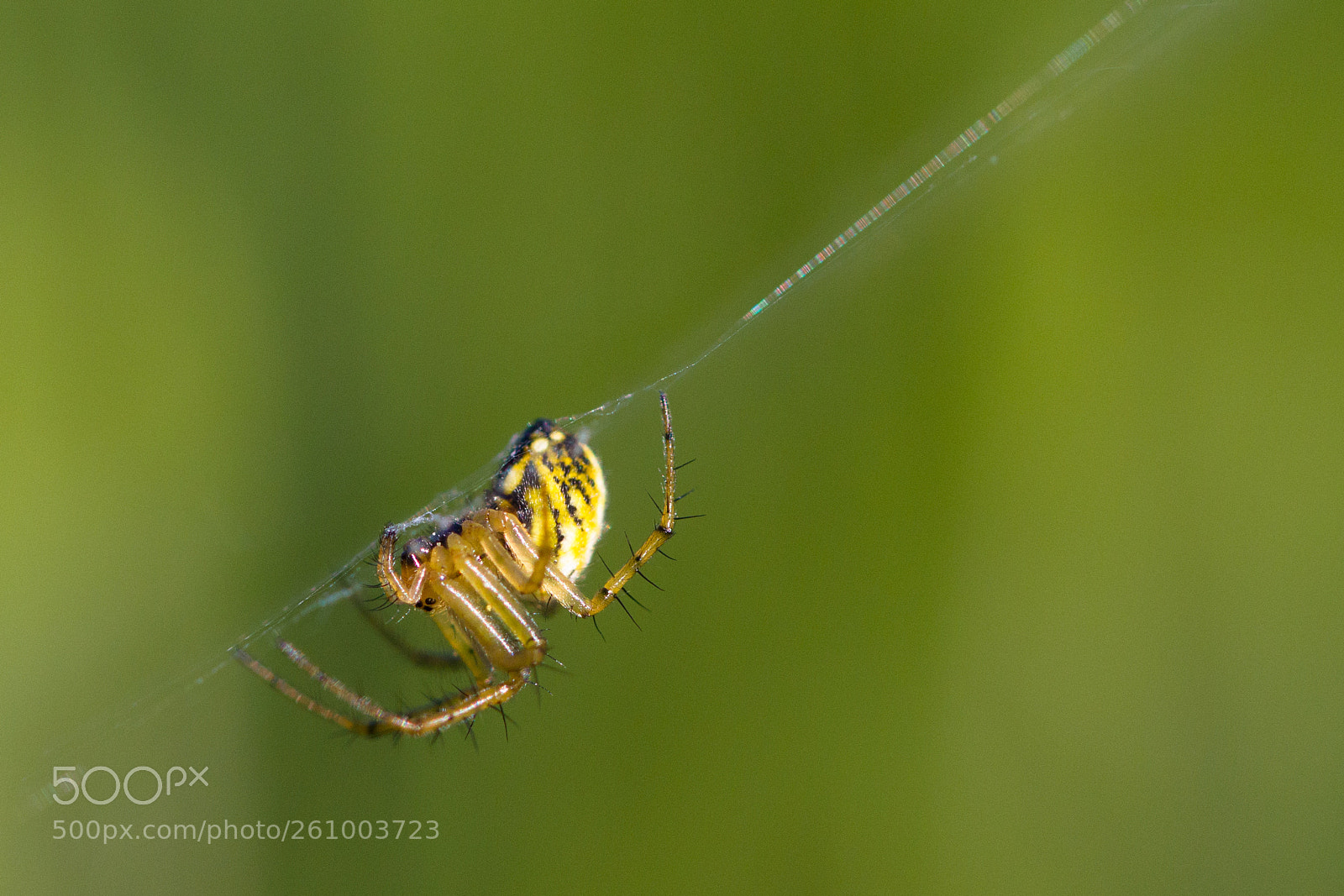 Canon EOS 7D sample photo. Img photography