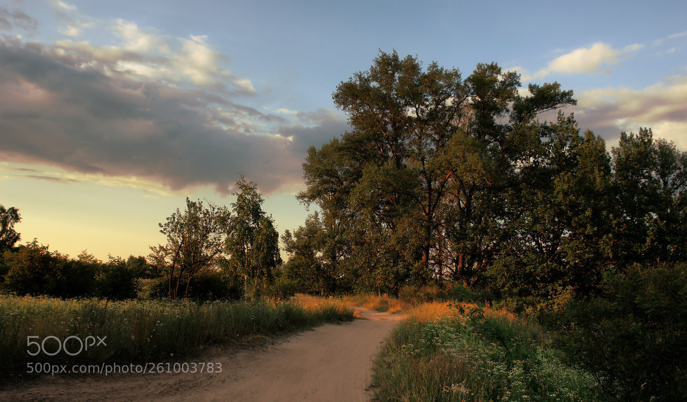 Sony DSC-R1 sample photo. Kyiv. natural park photography