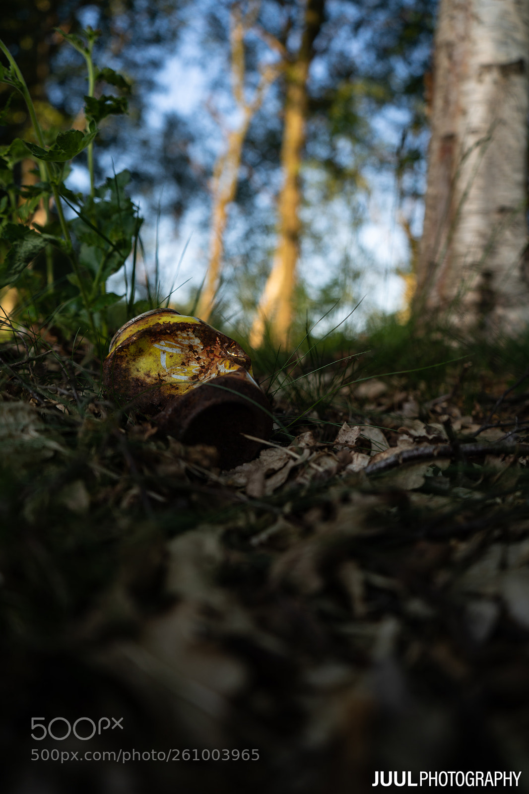 Sony a7 III sample photo. Thrown and forgotten! photography