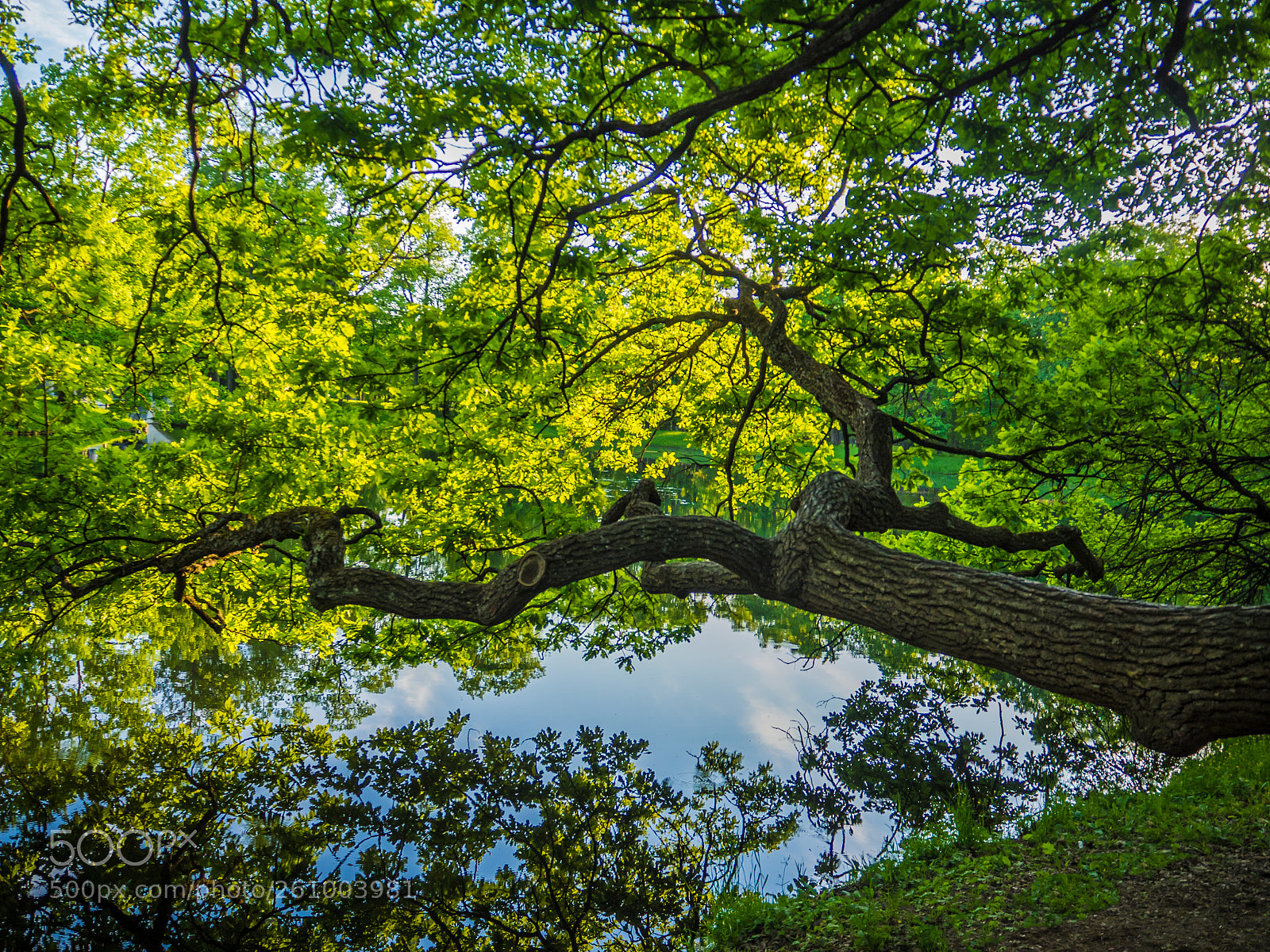 Olympus OM-D E-M10 II sample photo. Summer has come photography