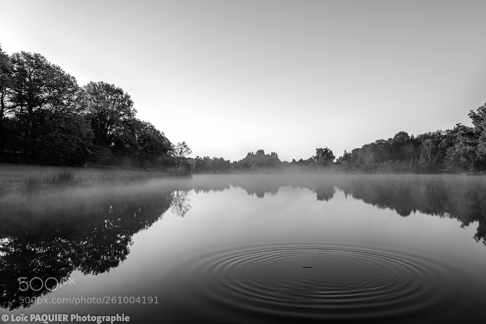 Sony a7R II sample photo. Miroir d'eau photography