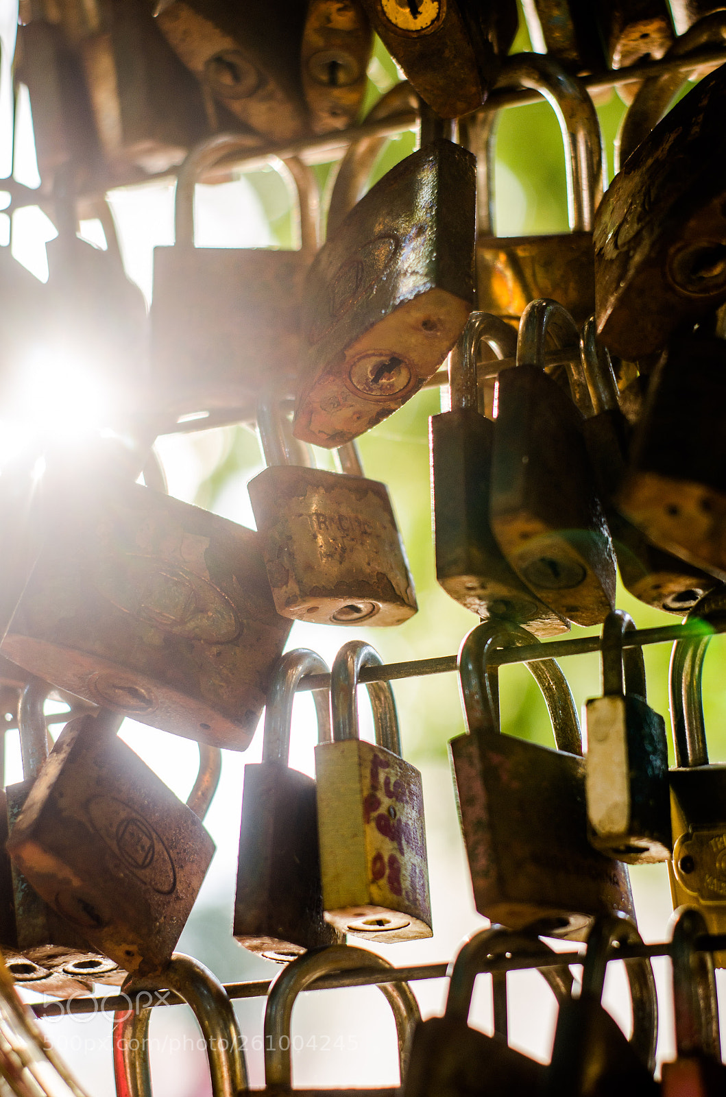 Nikon D7000 sample photo. Locked photography