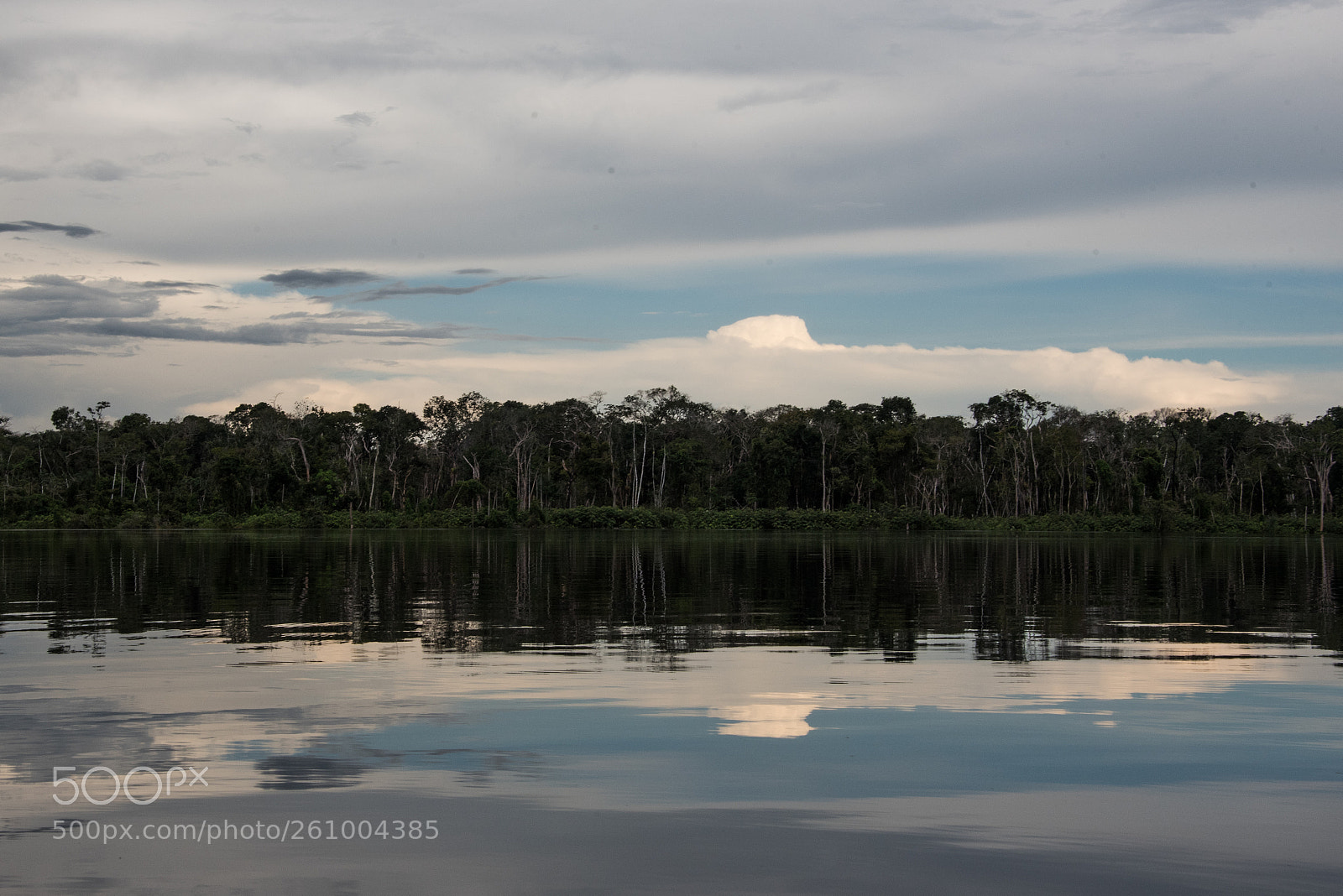 Nikon D750 sample photo. Amazonas photography