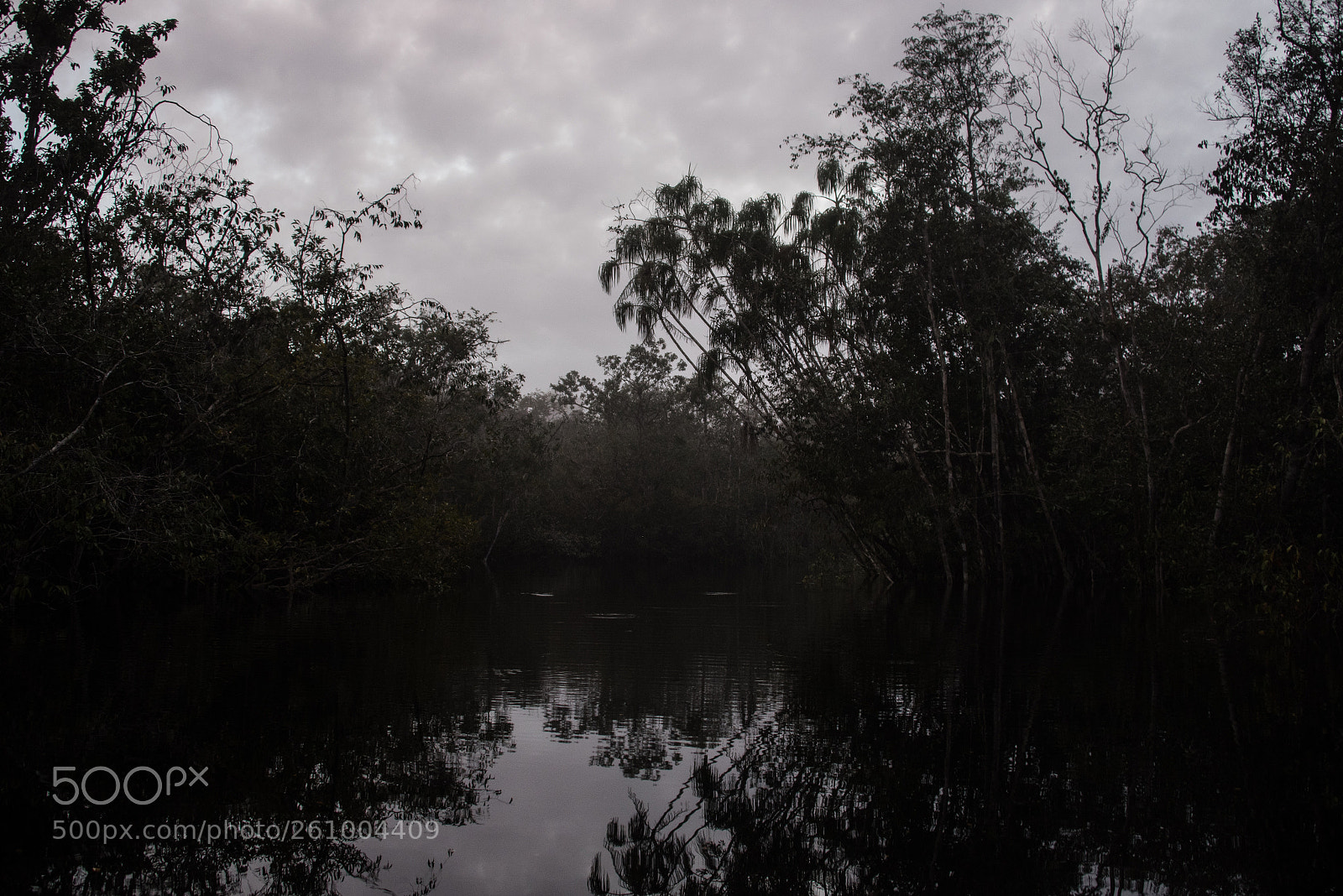 Nikon D750 sample photo. Amazonas photography