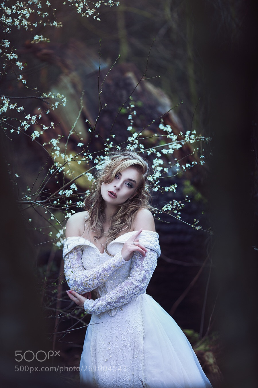 Canon EOS 6D sample photo. Blossom photography