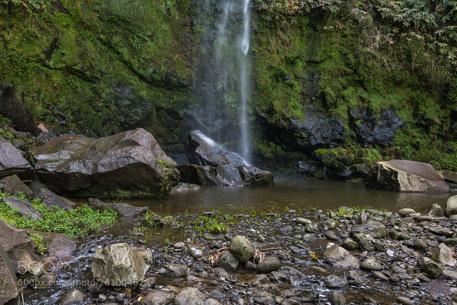 Nikon D850 sample photo. Natural shower photography