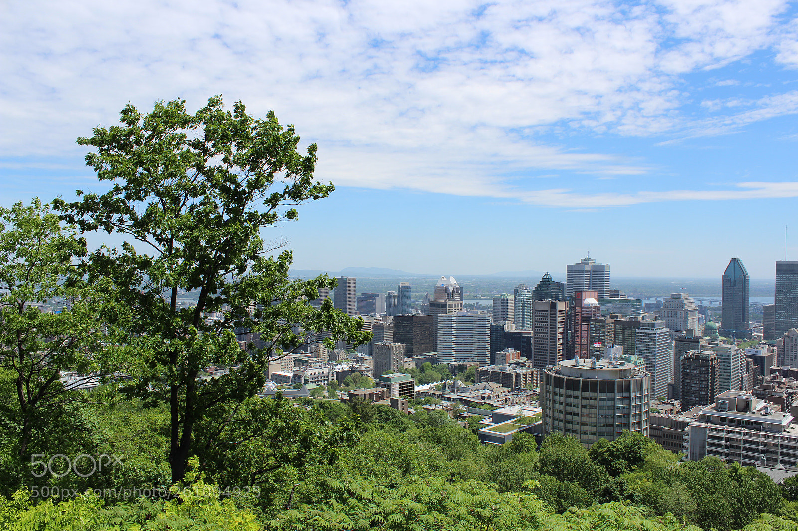 Canon EOS 1300D (EOS Rebel T6 / EOS Kiss X80) sample photo. Mount royal, montréal  photography