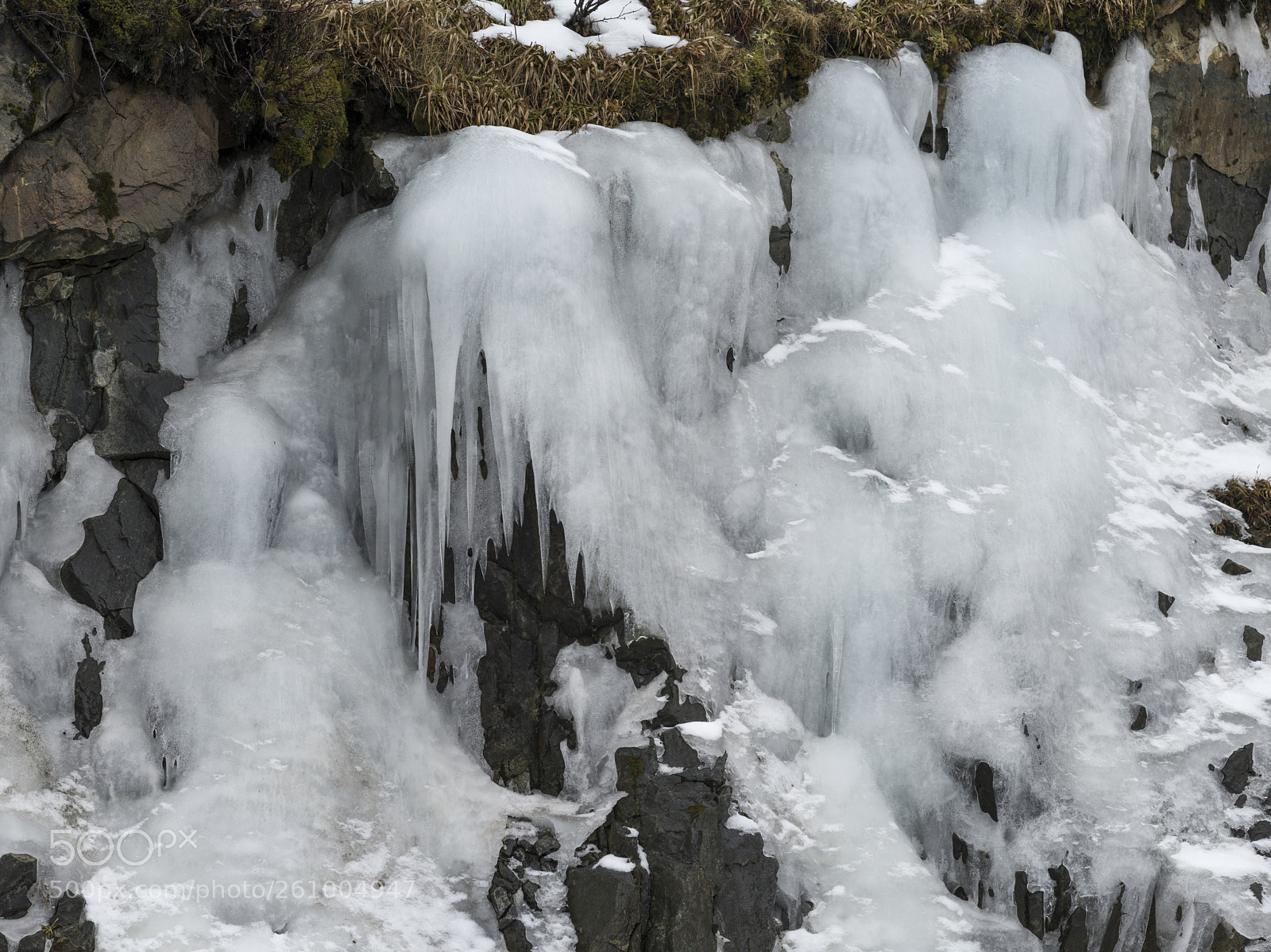Hasselblad X1D-50c sample photo. Close-up of ice on photography