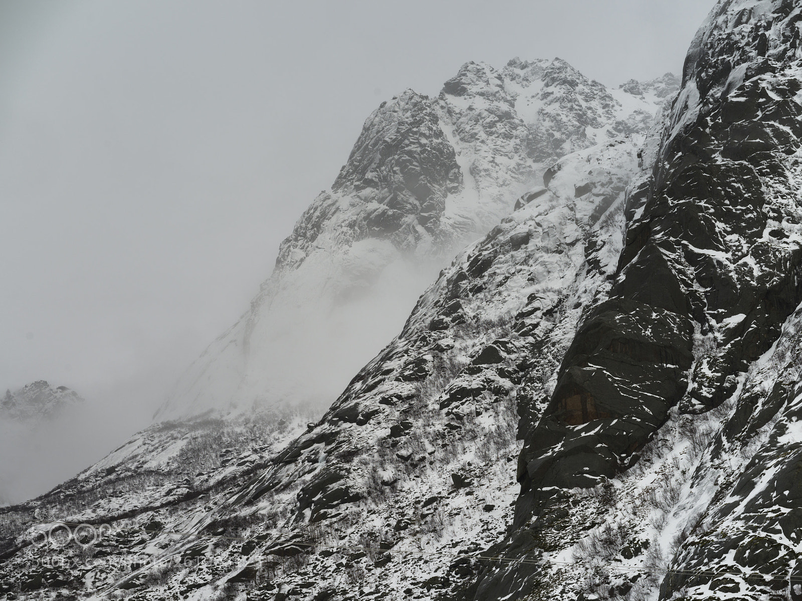 Hasselblad X1D-50c sample photo. Fog over snow covered photography
