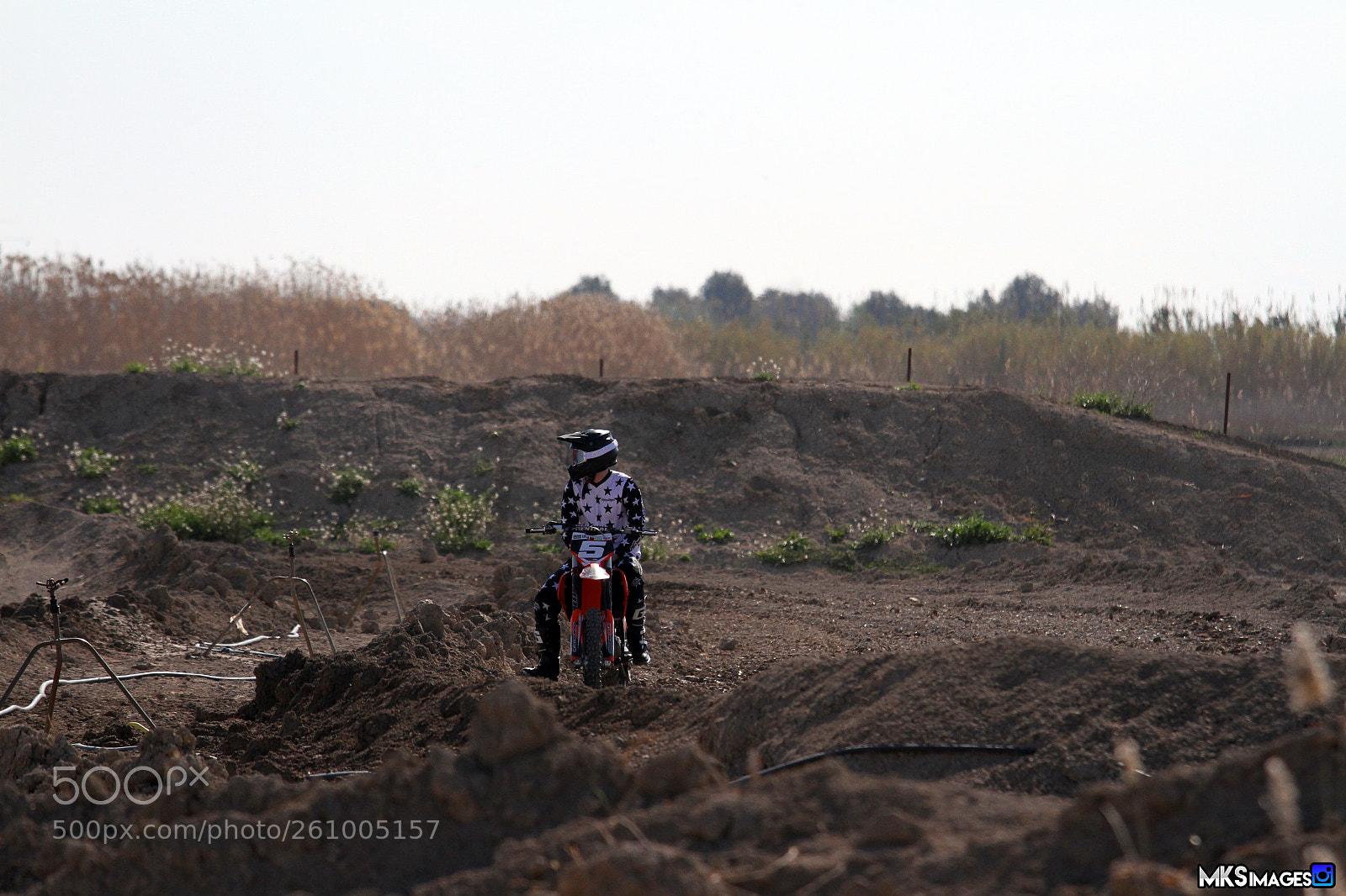 Canon EOS 7D sample photo. Billy photography
