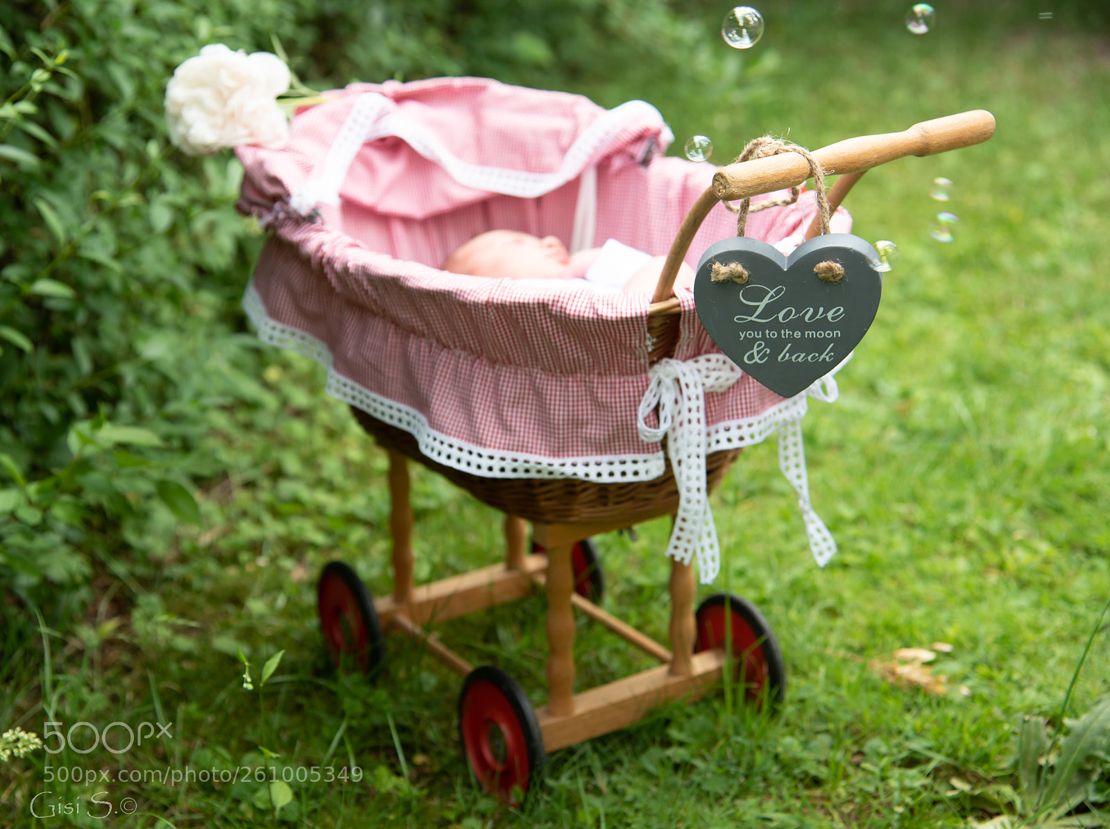 Nikon D750 sample photo. Anna photography
