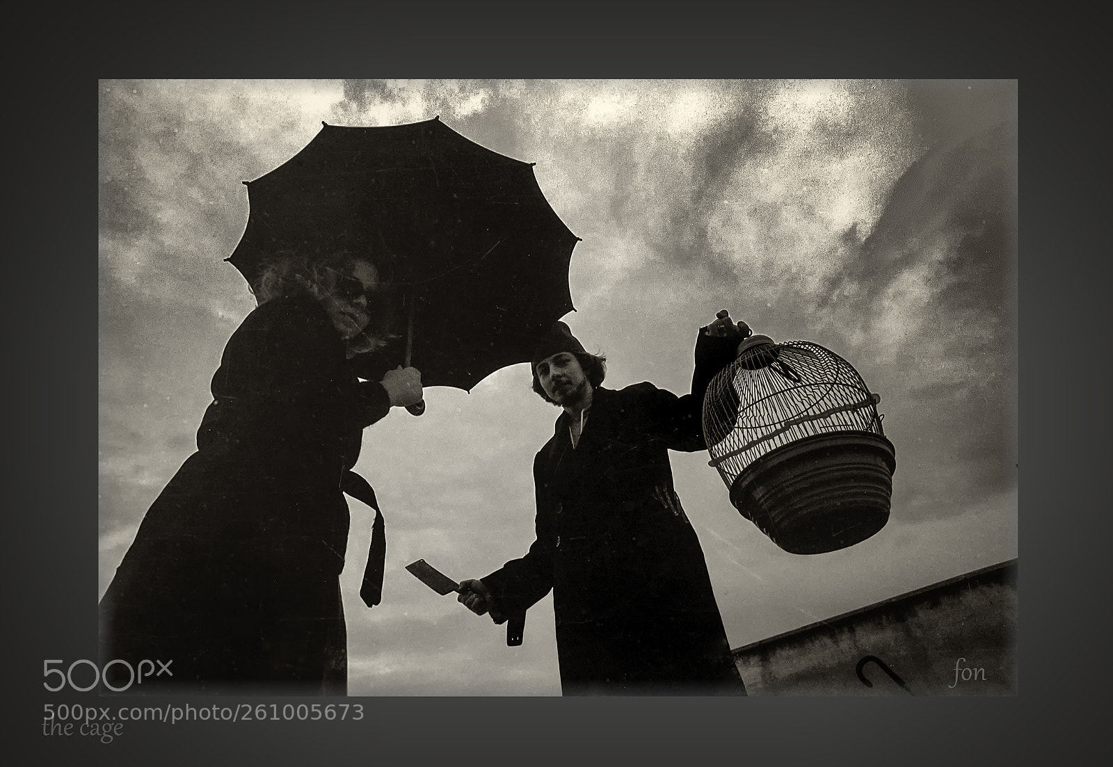 Nikon D600 sample photo. The cage photography
